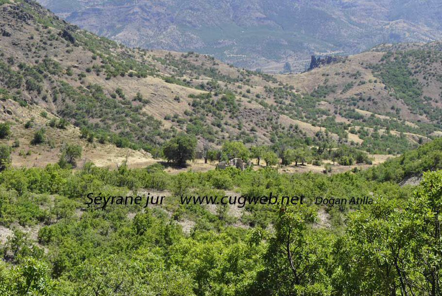 17 seyrane-juriinweb.jpg